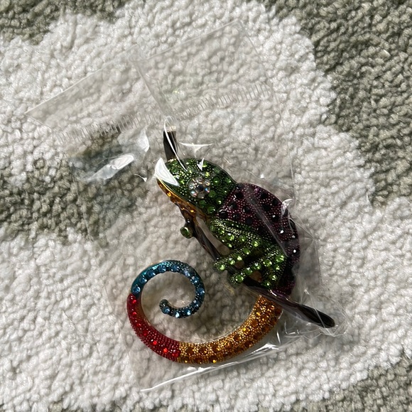 Lizard 🦎 brooches - Picture 5 of 5